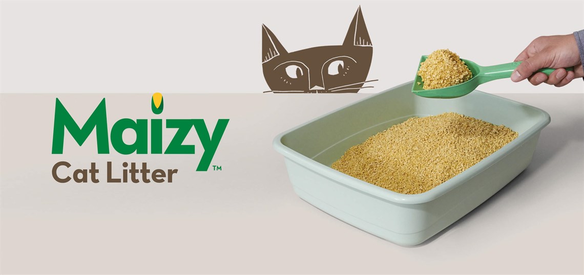 Maizy Banner Desktop