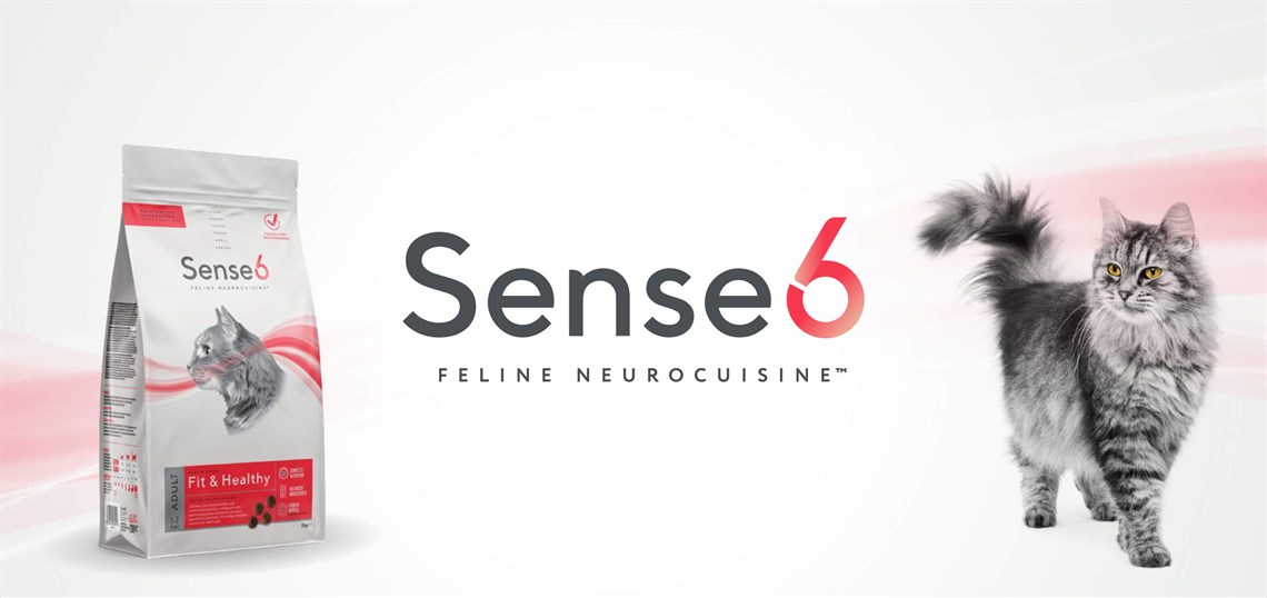 Sense6 Desktop