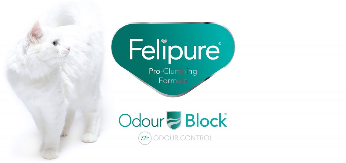 Felipure Desktop Banner