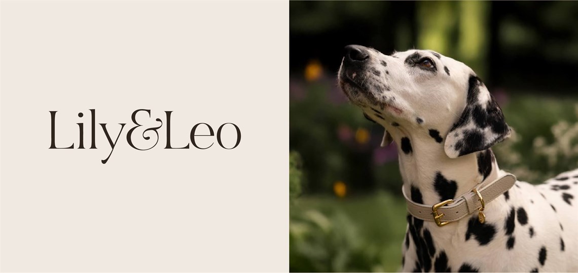 Lily & Leo Desktop Banner