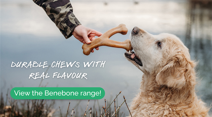 Benebone hero image
