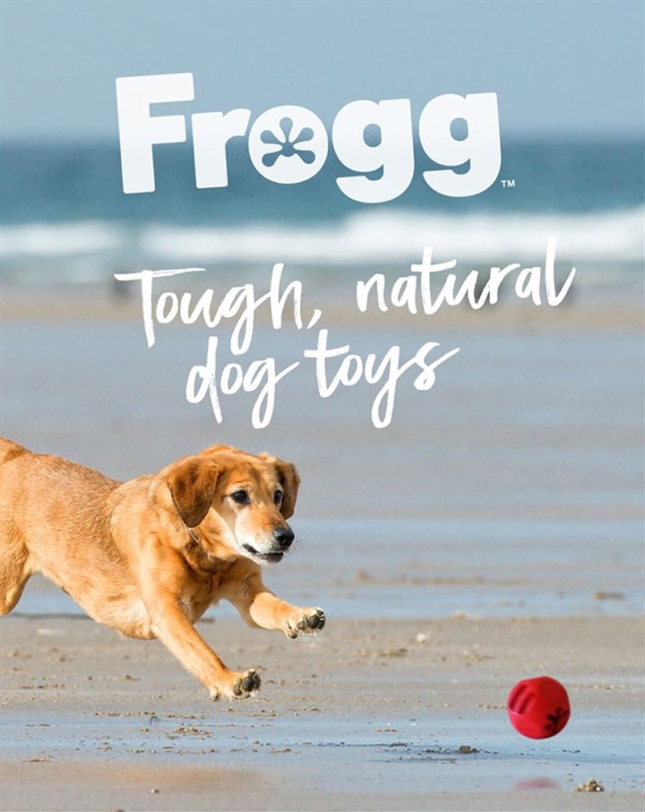 Frogg Mobile Header Short