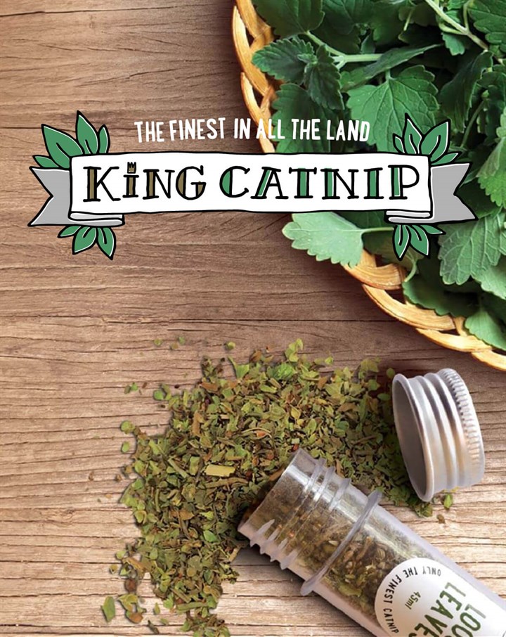 King Catnip Mobile Hero