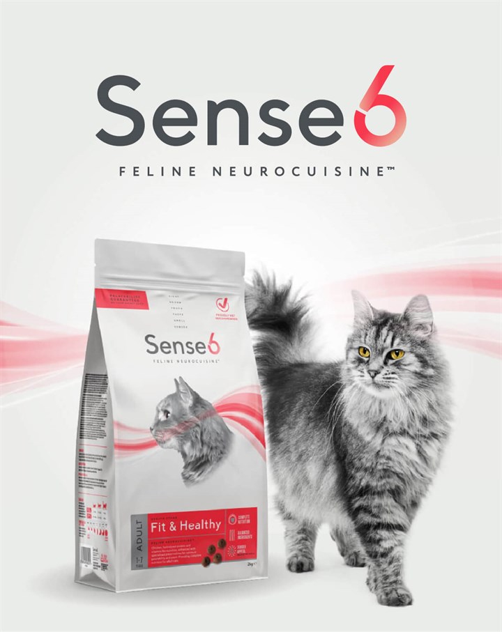 Sense6 Mobile