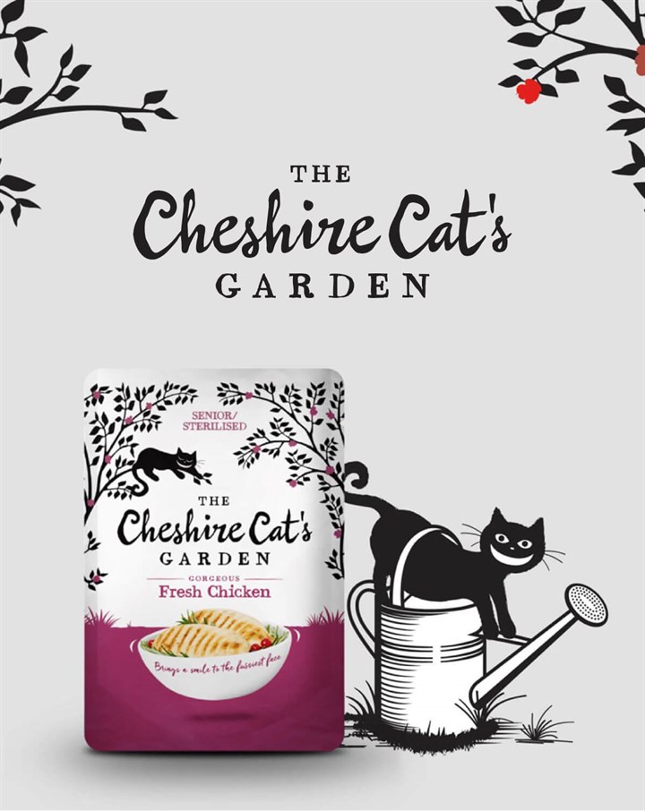 King Catnip Header Mobile