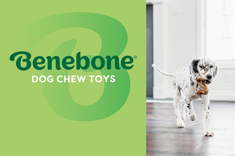 benebone-hero