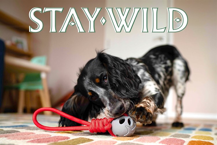 Great & Small Stay Wild