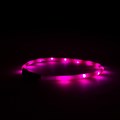 Great&Small Glow LED Rechargeable Collar Pink Alternative Image