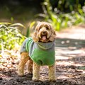 Harbour Hounds Drying Robe - Grey/Green Alternative Image