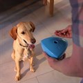 Roolo Treat Dispensing Dog Toy Alternative Image