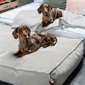 Fantail Mellow Mattress Oat Beige Dog Bed Alternative Image