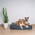 Fantail Origin Mattress Epic Grey Dog Bed Alternative Image
