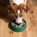 Gentle Kitchen Tender Lamb 400g Alternative Image