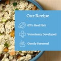 Gentle Kitchen Fresh Salmon 400g Alternative Image