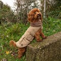 Great&Small Country Adventure Brown Canvas Coat Alternative Image