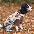 Great&Small Country Adventure Retro Cream Patterned Fleece Alternative Image