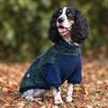 Great&Small Country Adventure Retro Green Patterned Fleece Alternative Image
