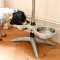 Great&Small Adjustable Raised Double Bowl Alternative Image