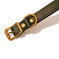 Hawkhurst Forest Green Leather Collar Alternative Image