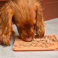 Great&Small Slow Down Arizona Silicone Snack Pad Alternative Image