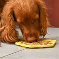 Great&Small Slow Down Bee Hive Silicone Snack Pad Alternative Image
