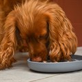 Great&Small Slow Down Zen Lines Silicone Bowl Alternative Image