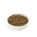 Great&Small Norah's Small Animal Ceramic Food Bowl Alternative Image