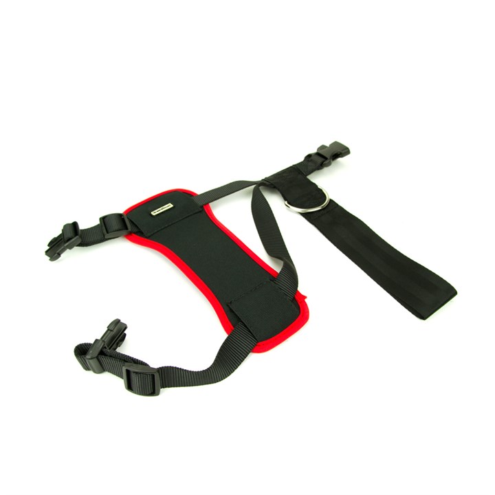 Great&Small Car Harness