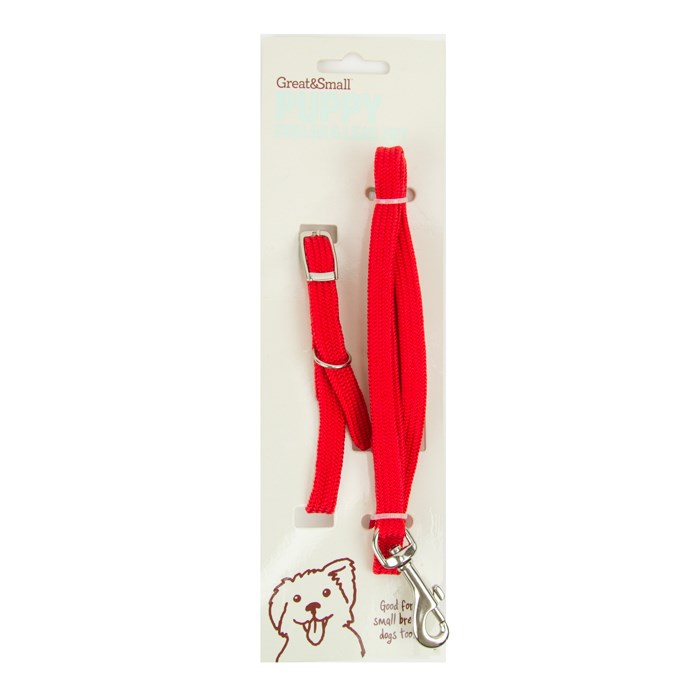 Great&Small Puppy Collar & Lead Red