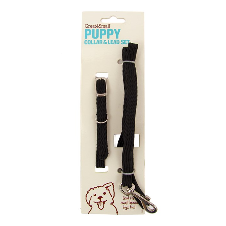 Great&Small Puppy Collar & Lead Black