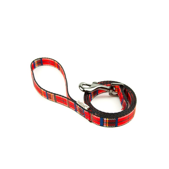 Great&Small Penrose Tartan Lead Red