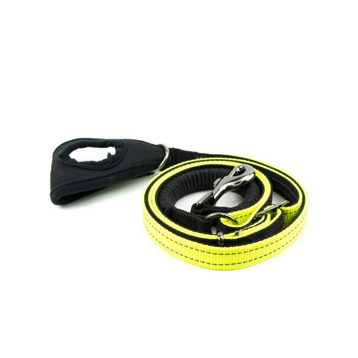 Great&Small Active Hi-Vis Jogging Lead 7.5cm Handle