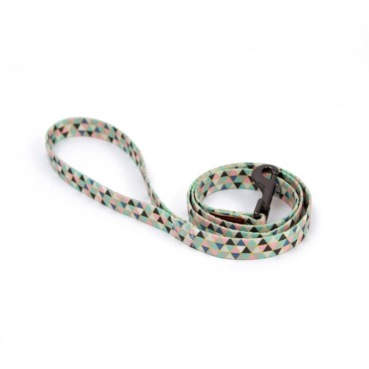 Great&Small Penrose Geometric Triangles Lead