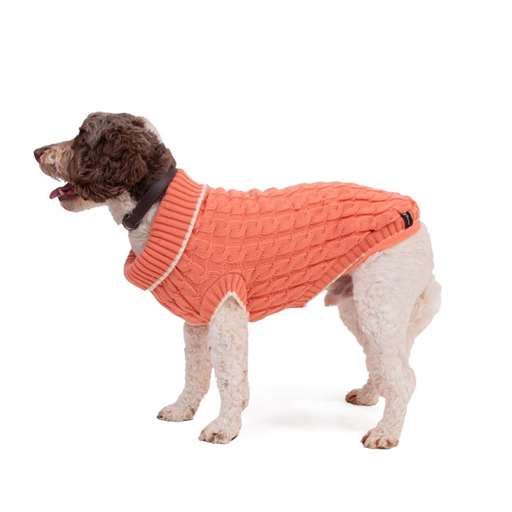 Penrose Knit Sweater Peach with Cream Trim