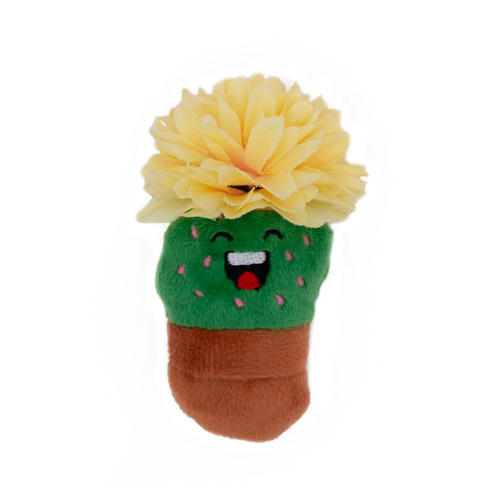 Great&Small Fiesta Cactus Pot