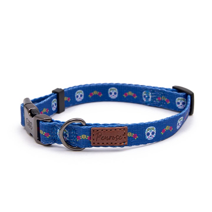 Great&Small Penrose Day of the Dead Collar