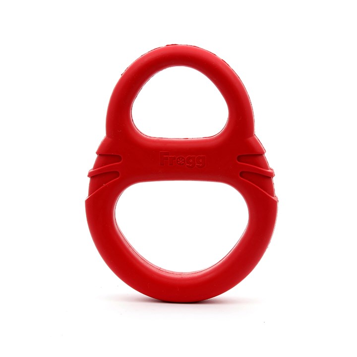 Frogg Tug of Paw Dog Toy