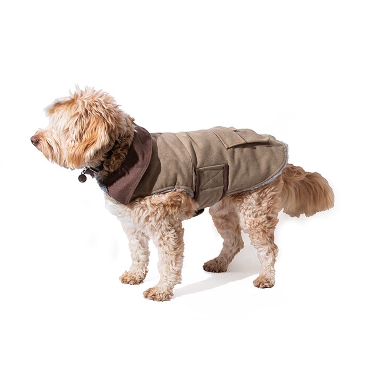 Great&Small Country Adventure Brown Canvas Coat