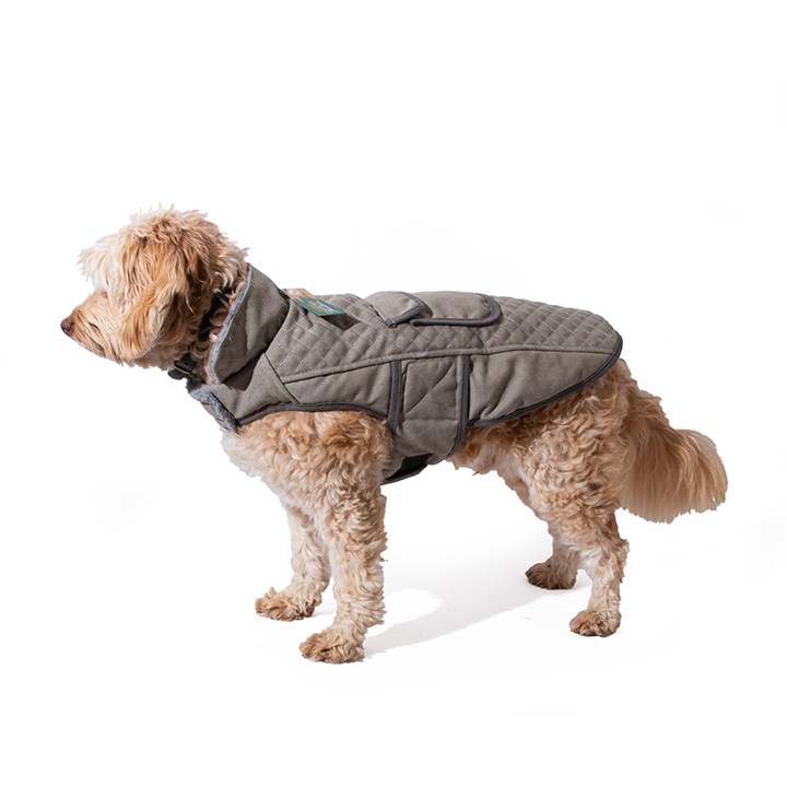 Great&Small Country Adventure Grey Canvas Coat