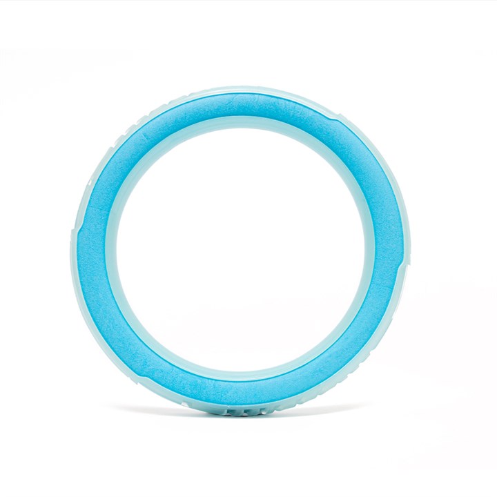Great&Small Glow in the Dark Glow Ring Dog Toy