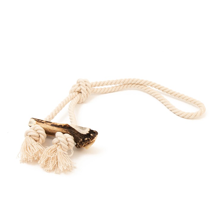 Great&Small Green Elk Antler Split & Rope Dog Toy