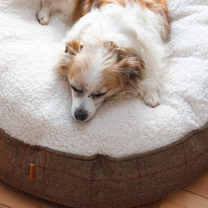 Hawkhurst Grampian Tweed Round Cushion with Soft Sherpa