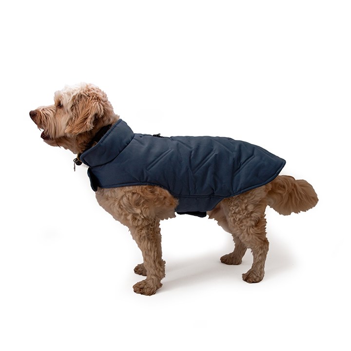 Great&Small Penrose Midnight Haze Blue Padded Coat