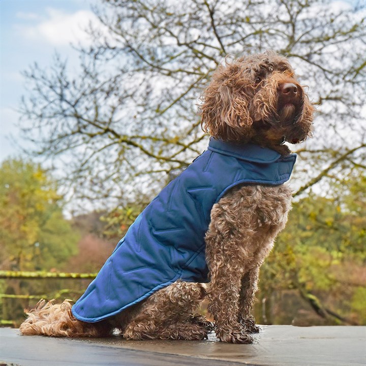 Great&Small Penrose Midnight Haze Blue Padded Coat