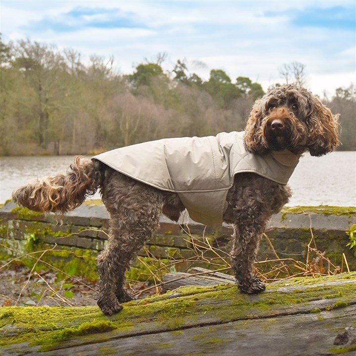 Great&Small Penrose Reversible Water Resistant Coat