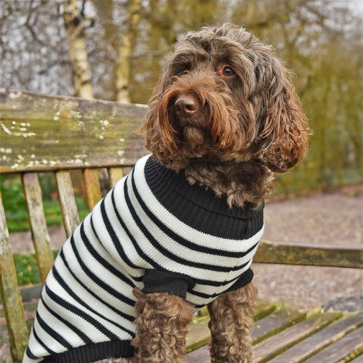 Penrose Knitted Monochrome Striped Sweater