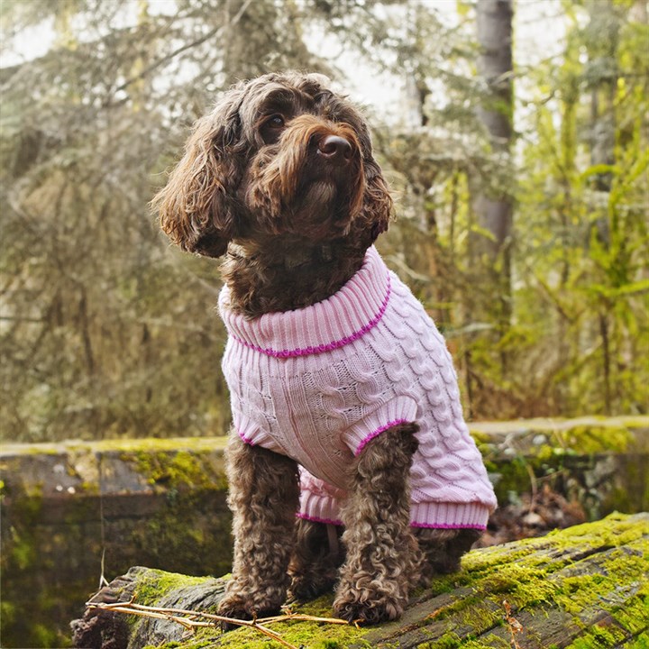 Penrose Knitted Pink Sweater with Raspberry Trim