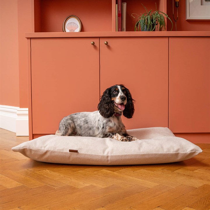 Hawkhurst Victoria Mattress Cushion in Cream