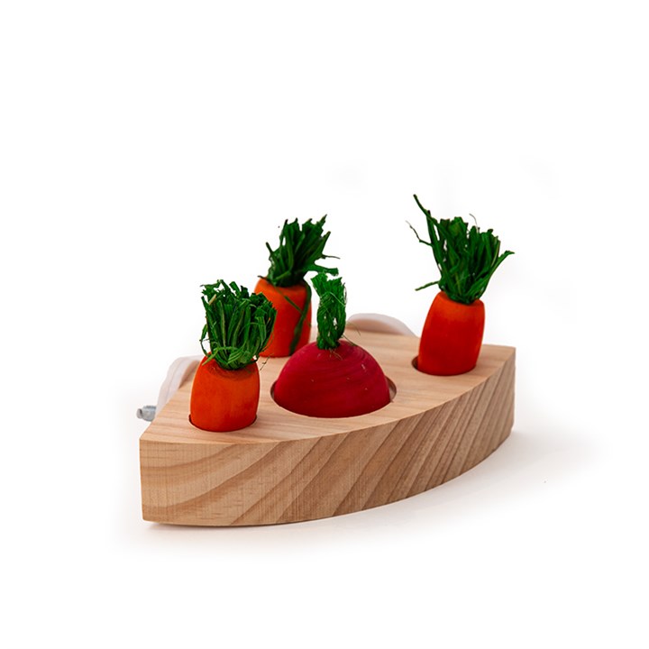 Norah's Village Raised Veggie Patch