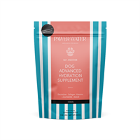 Pawer Water Gut Advanced Wellness Hydration for Dogs